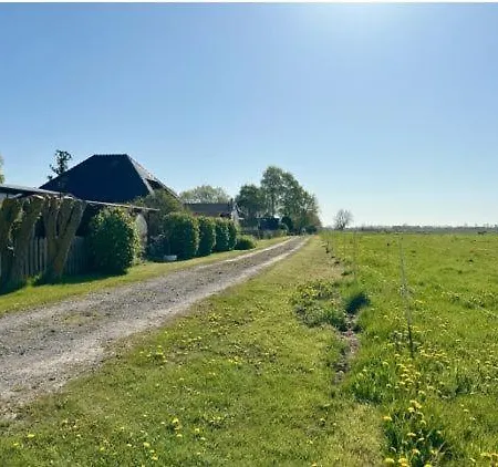 Nyaraló Ostseewelle, Wlan, Waschmaschine